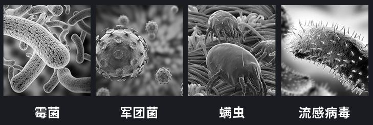 細(xì)菌病毒